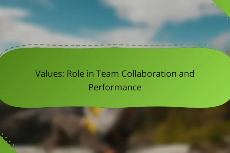 Values: Role in Team Collaboration and Performance