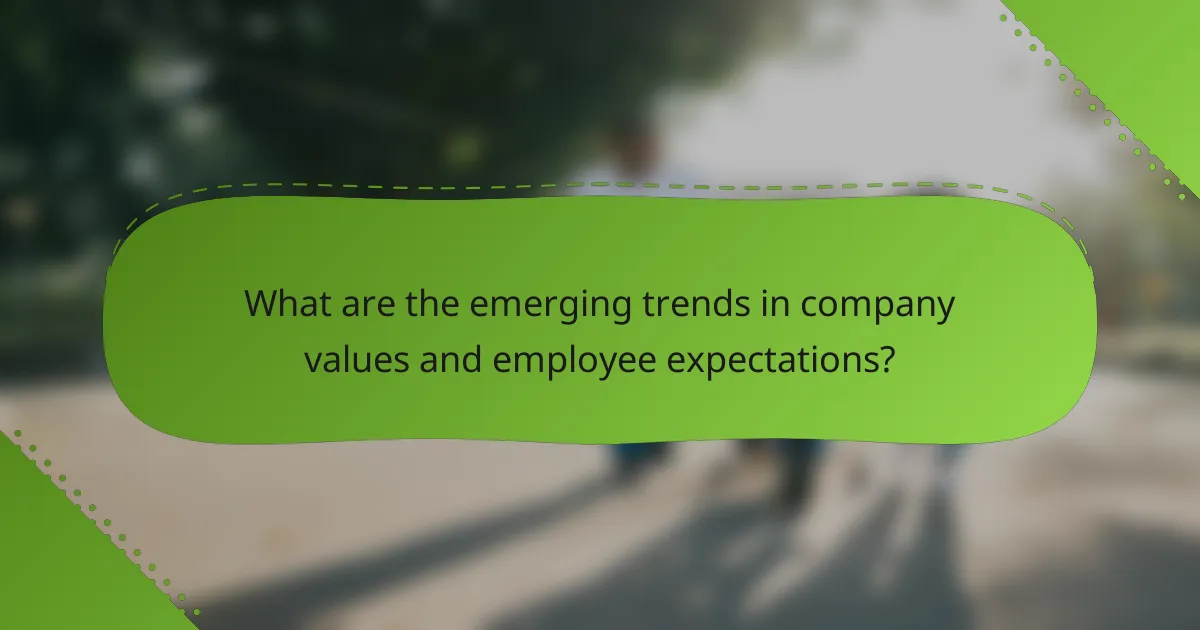 What are the emerging trends in company values and employee expectations?