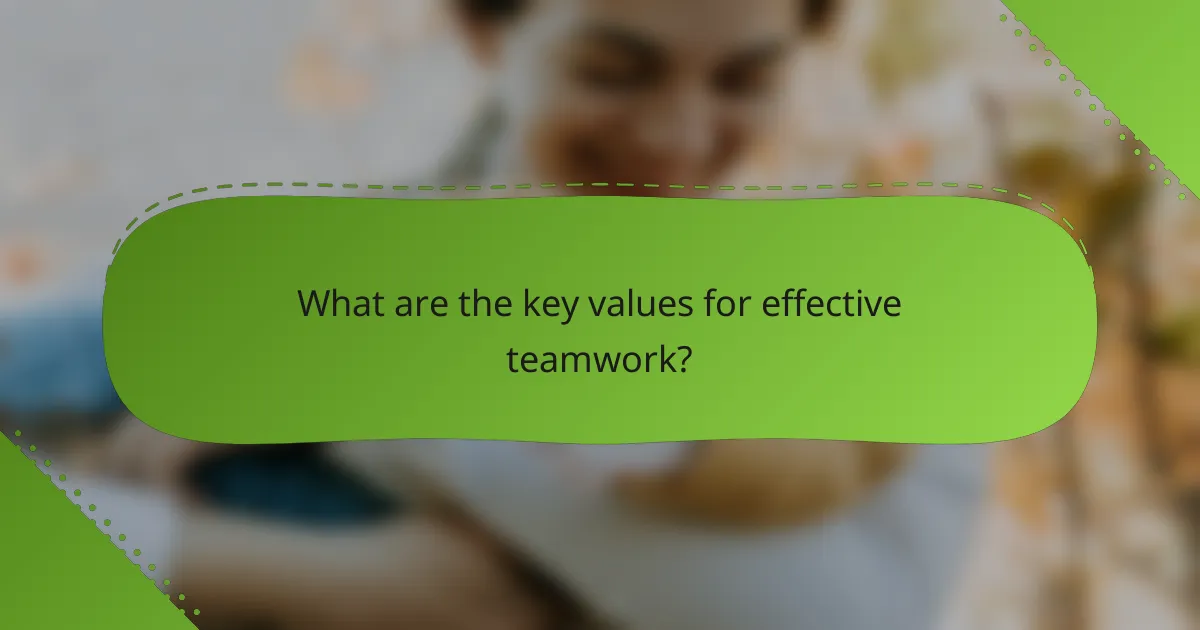 What are the key values for effective teamwork?