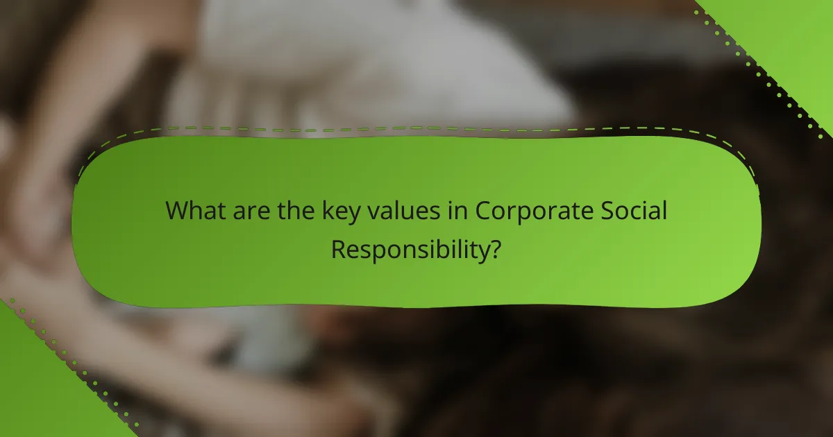 What are the key values in Corporate Social Responsibility?